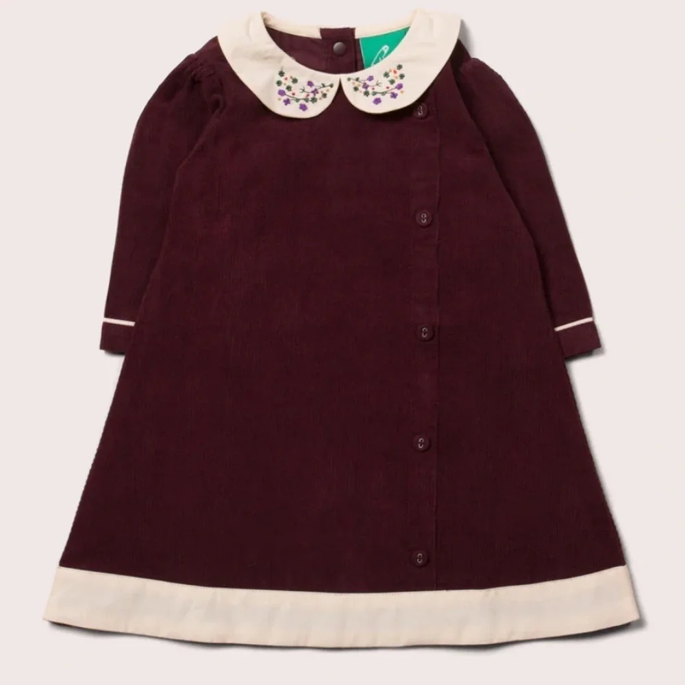 Little Green Radicals Plum Button Down Dress